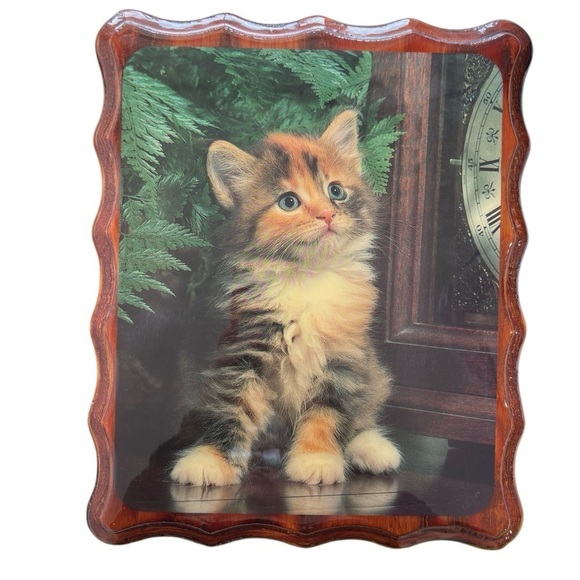 VTG Kitten Picture Lacquered Mounted Decor Calico Cat 9" X 11" Wooden Wavy Edge - Picture 1 of 12